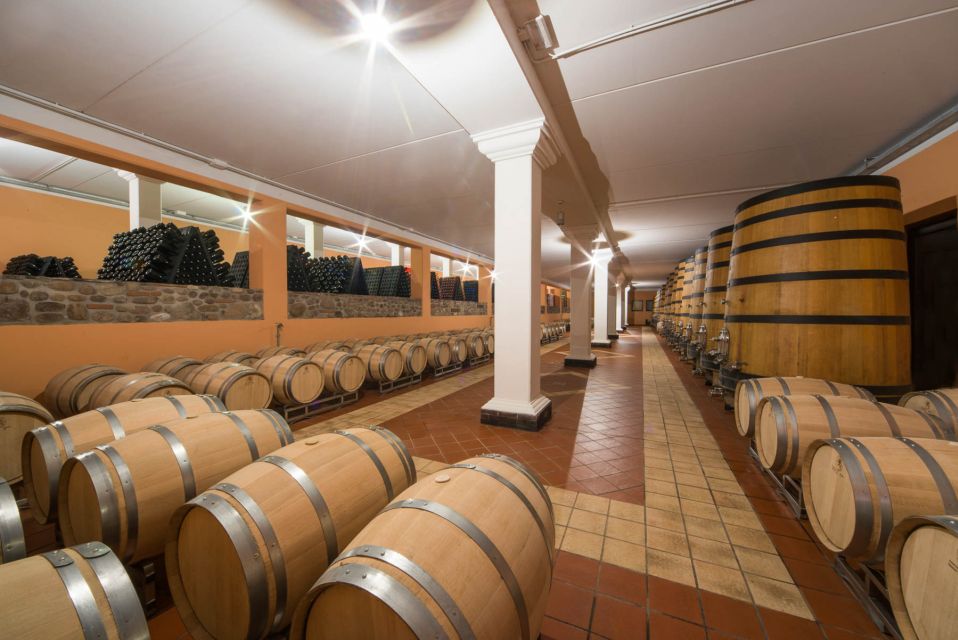 Lake Garda: Garda Hills Wine Tour and Tasting - Meeting the Family-Run Estate Above Lake Garda