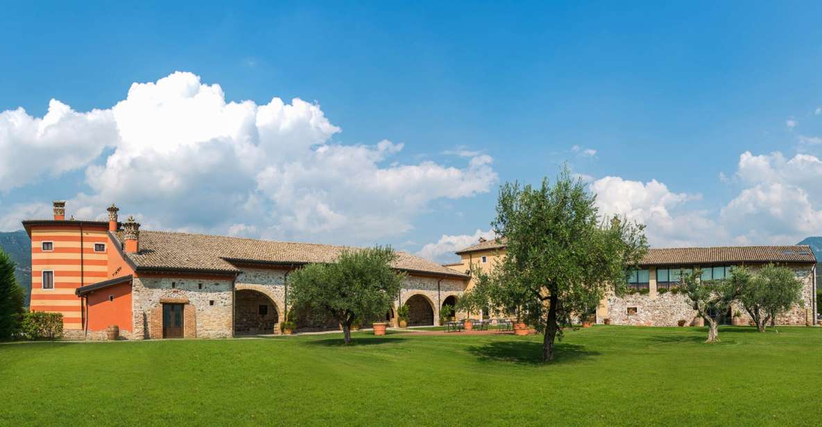 Lake Garda: Garda Hills Wine Tour and Tasting - Two Cellars: New Production and Aging Rooms
