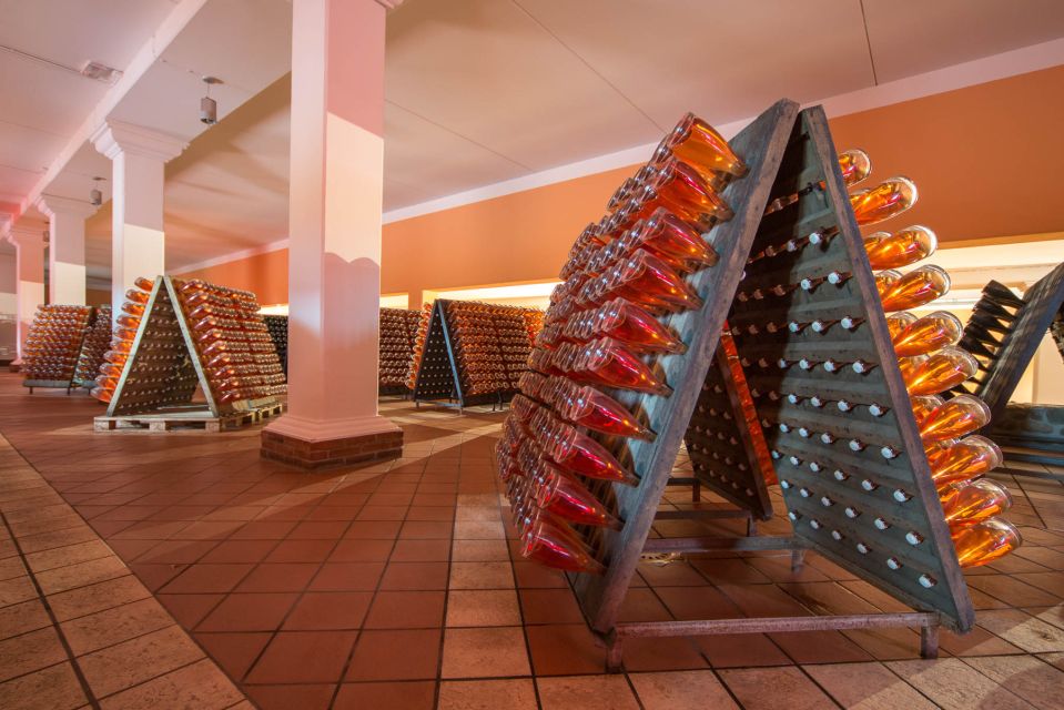 Lake Garda: Garda Hills Wine Tour and Tasting - Price and Value: Does $51 Make Sense for a Wine + Food Tour?