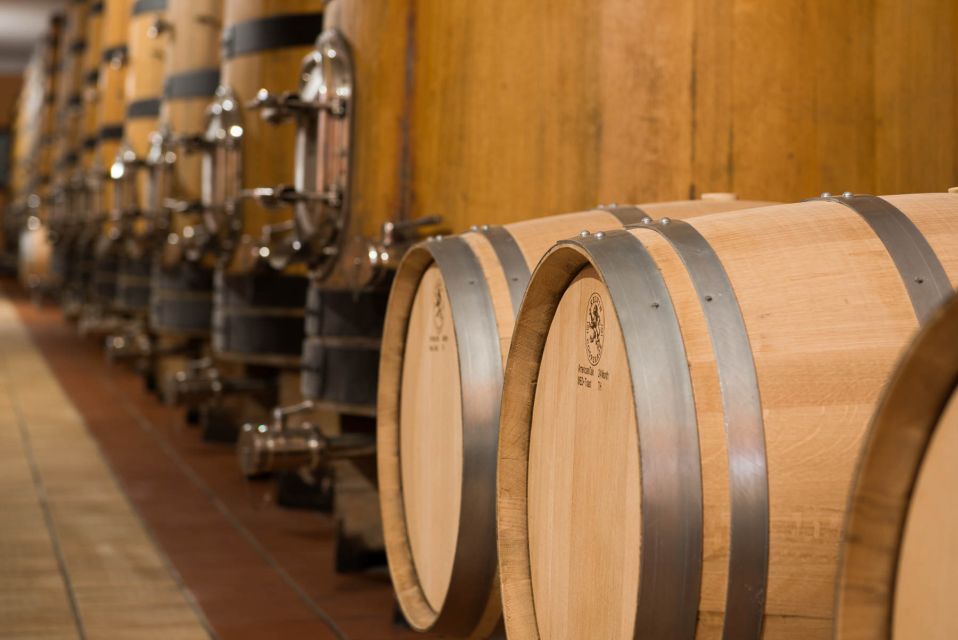 Lake Garda: Garda Hills Wine Tour and Tasting - Good to Know: Time, Languages, Dogs, Wheelchairs, and What to Bring