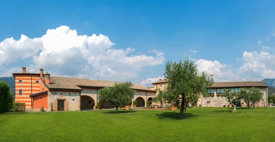 Lake Garda: Garda Hills Wine Tour and Tasting - Walking Between Vineyards and Learning Grape Varieties