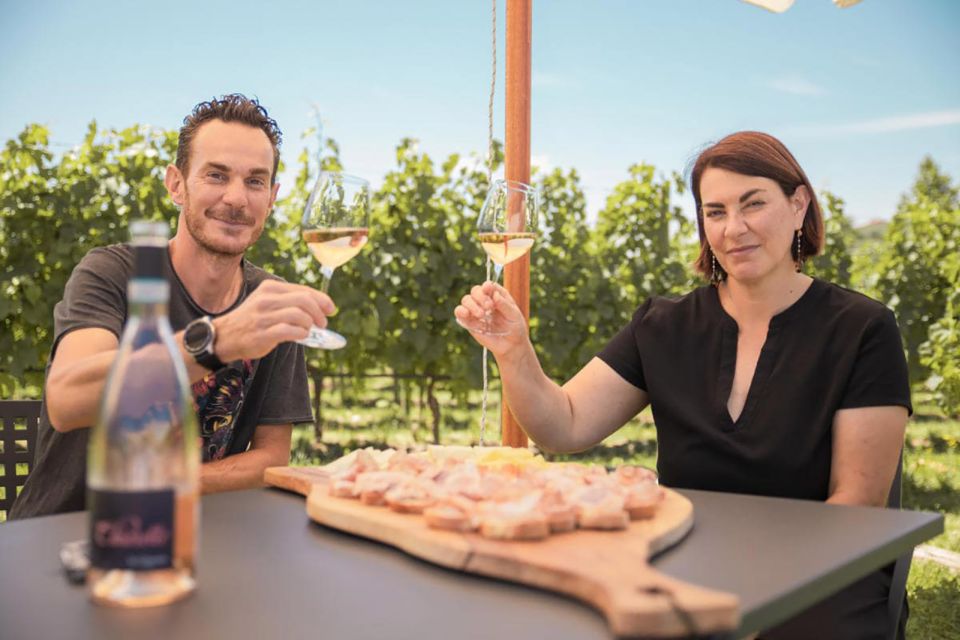 Lake Garda: Wine and Food Tastings in the Vineyards - Should You Book This Lake Garda Wine and Food Tasting?
