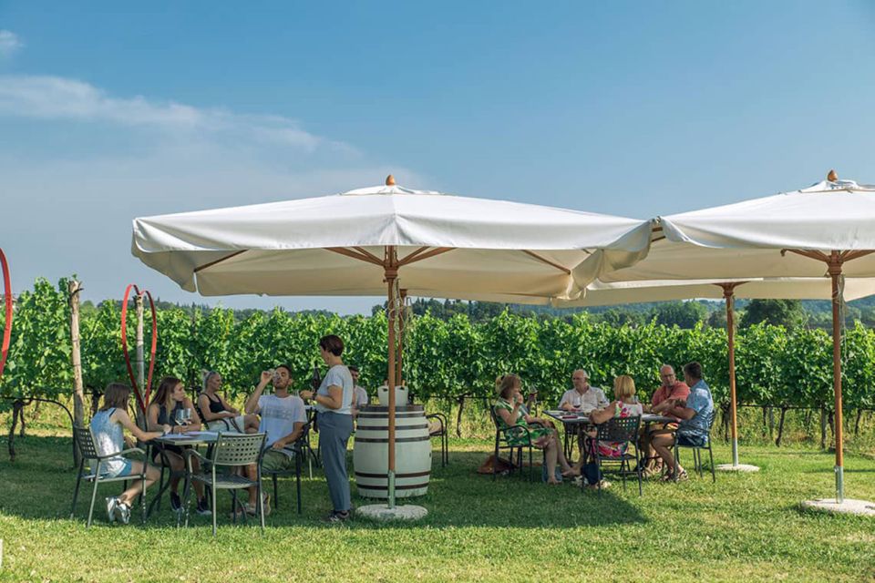 Lake Garda: Wine and Food Tastings in the Vineyards - Why a Lazise Vineyard Tasting Feels More Local Than a Big Tour