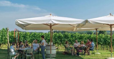 Lake Garda: Wine and Food Tastings in the Vineyards - Your 2-Hour Plan at Azienda Agricola Le Ginestre
