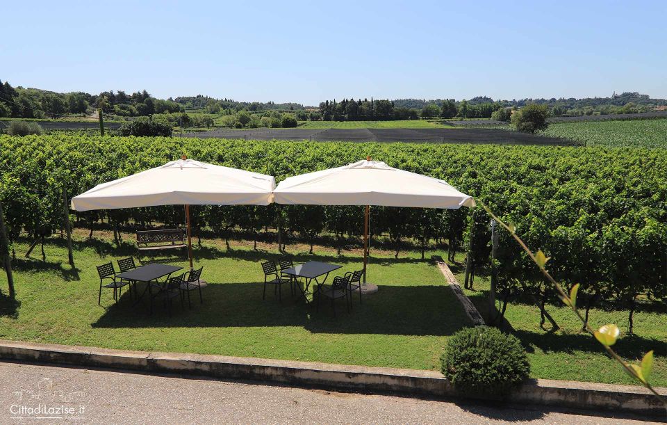 Lake Garda: Wine and Food Tastings in the Vineyards - Price and Value: Does $50 Make Sense?