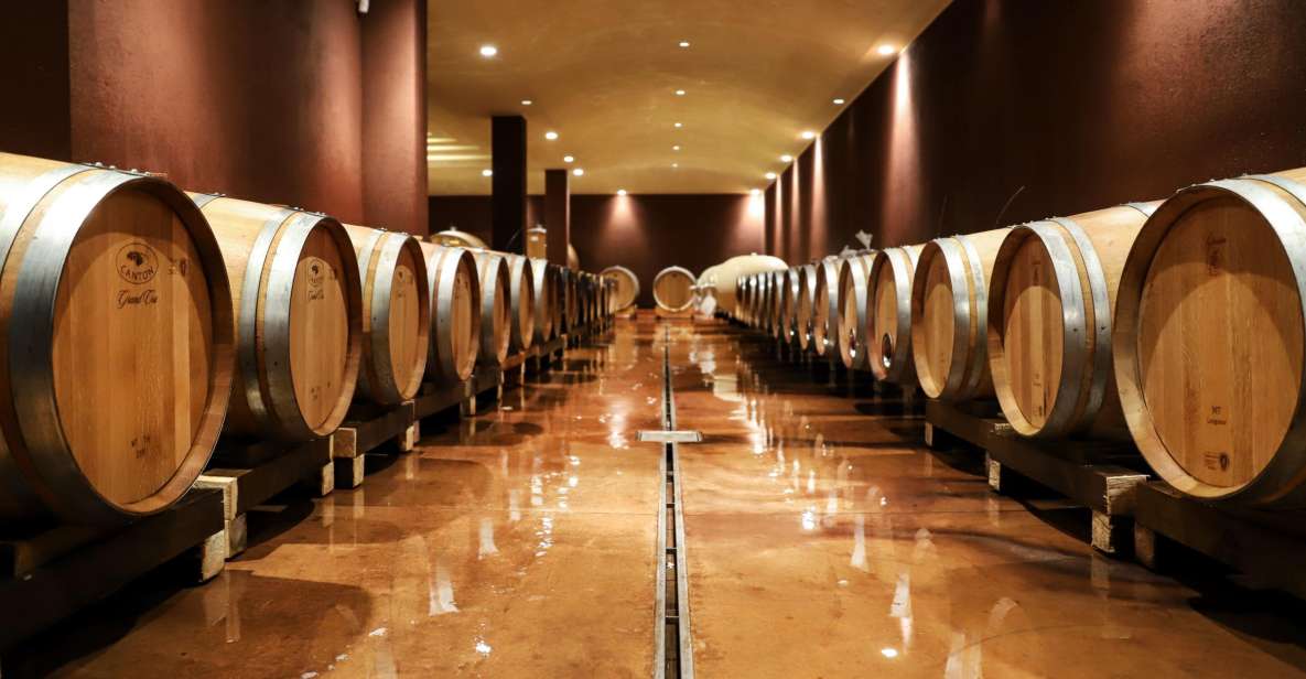 Lake Garda: Wine Tour and Tasting Experience in Bardolino - Key takeaways before you book