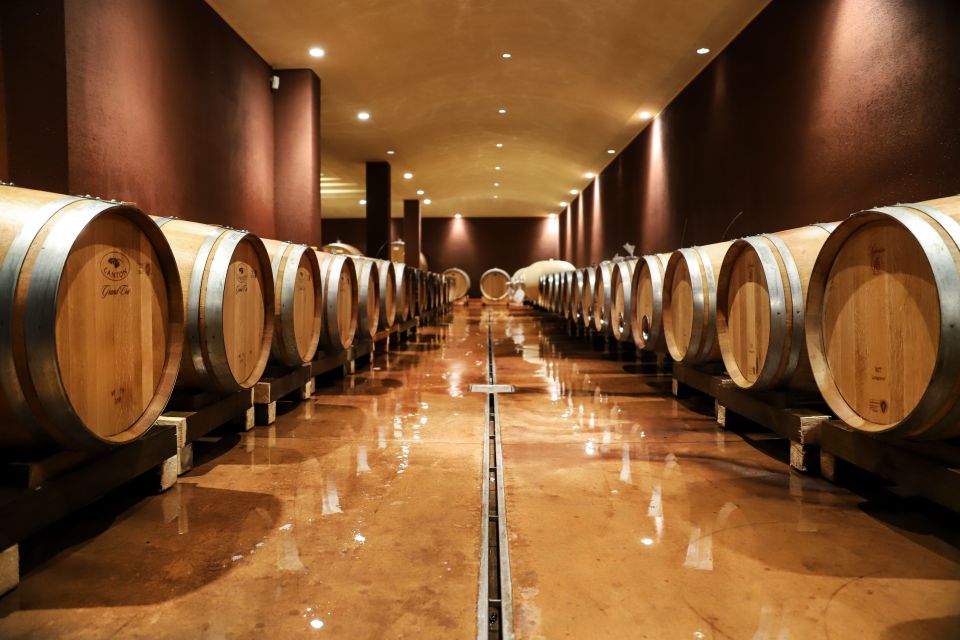 Lake Garda: Wine Tour and Tasting Experience in Bardolino - Tenuta La Cà in Bardolino: what kind of place this is