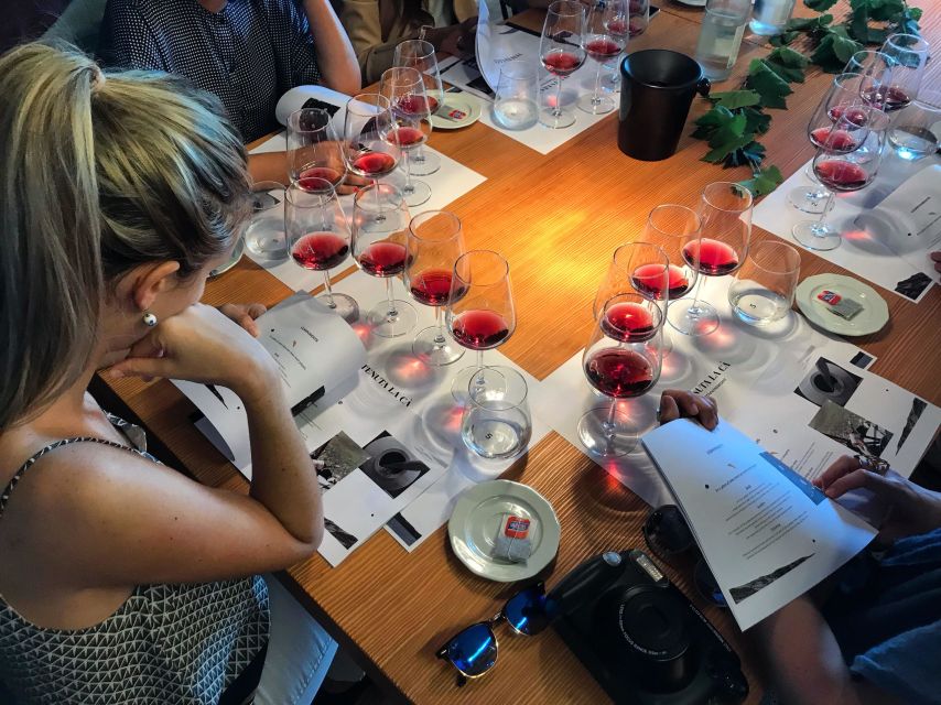 Lake Garda: Wine Tour and Tasting Experience in Bardolino - The tasting: 2 reds, 2 whites, and local bites you’ll actually enjoy