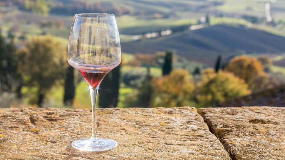 Lake Garda: Wine Tour and Tasting Experience in Bardolino - Views of Bardolino while you taste: why the timing feels right