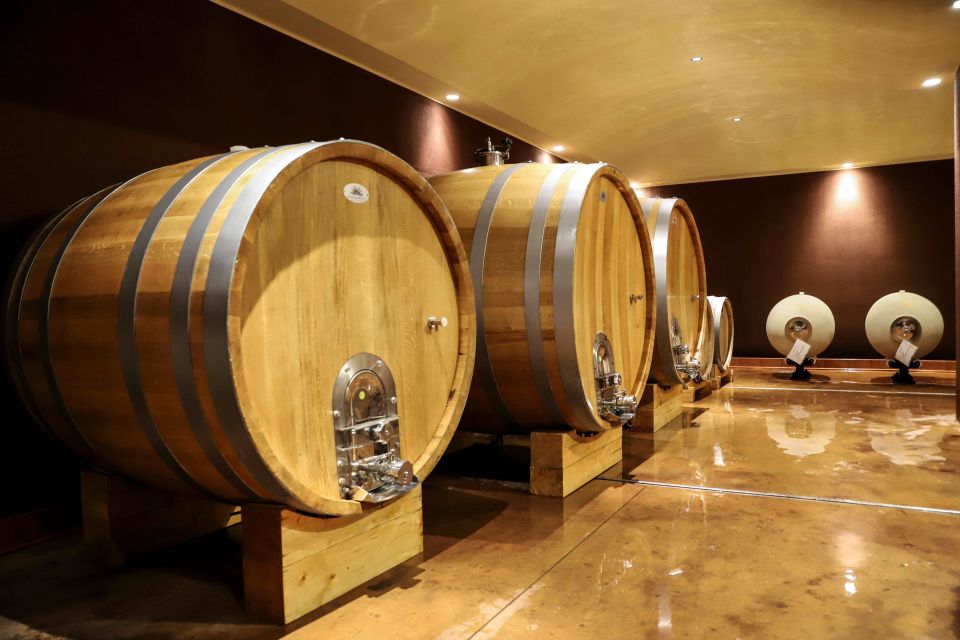 Lake Garda: Wine Tour and Tasting Experience in Bardolino - What to eat if you have allergies or dietary needs
