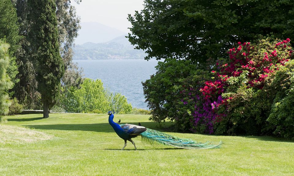 Lake Maggiore: Borromean Islands Tickets with Boat Transfer - Key things to know before you go