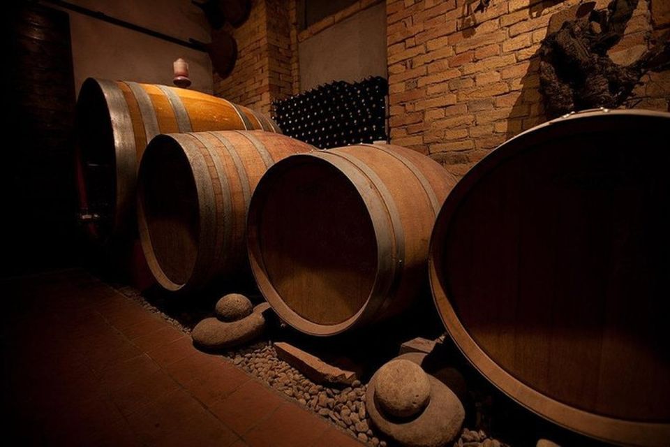 Langhe & Monferrato: Vineyard Tour and Wine Tasting - Langhe and Monferrato hills, distilled into 90 minutes