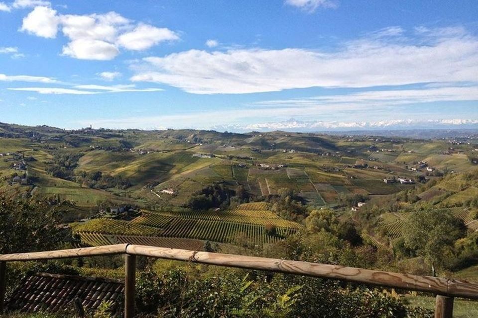 Langhe & Monferrato: Vineyard Tour and Wine Tasting - Practical tips: what to wear and what to ask