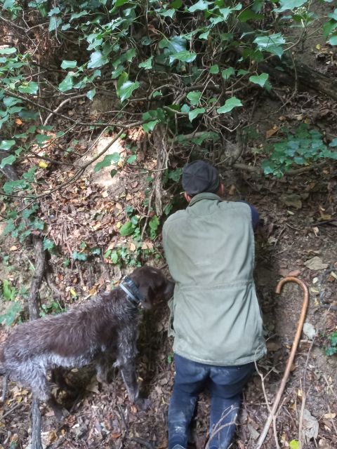 Langhe: Truffle Hunting Experience - Truffle Hunting in the Langhe: What This Experience Really Feels Like