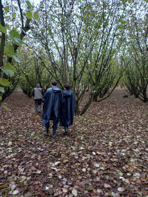 Langhe: Truffle Hunting Experience - Langhe Walk Break and a 10-Minute Self-Guided Moment