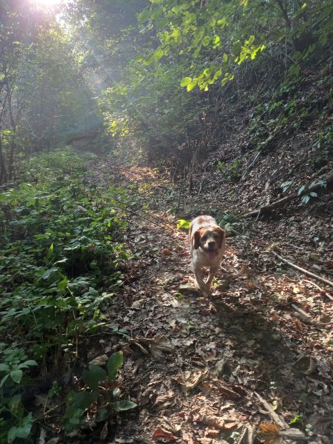 Langhe: Truffle Hunting Experience - Mud, Weather, and What to Wear So You Don’t Hate the Day