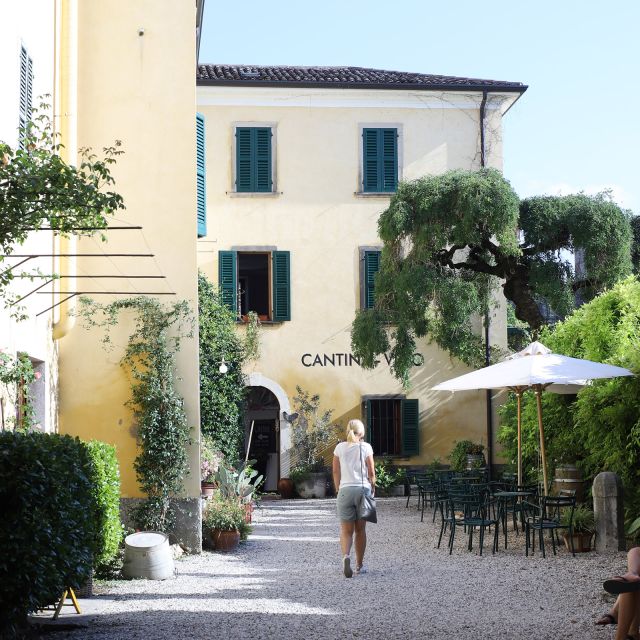 Lazise: Historical Center Wine Tasting Tour - The tasting sequence: whites, rosè, Bardolino, then Syrah, Così, and Ettore