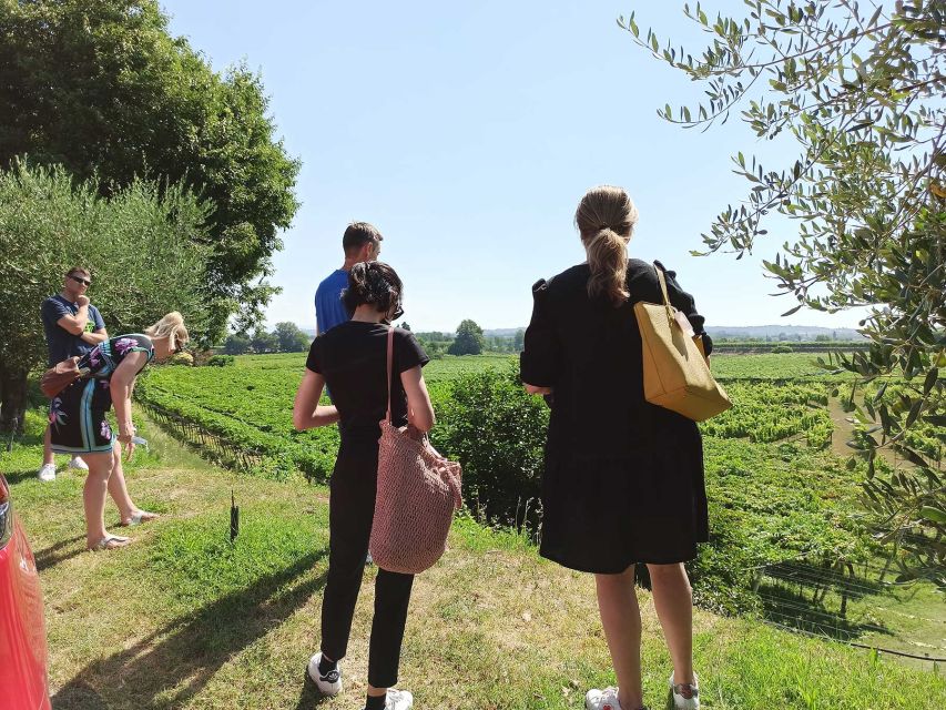 Lazise: Winery Tour with Garda Wines and Food Tasting - Key Things That Make This Lazise Wine Tour Worth Your Time