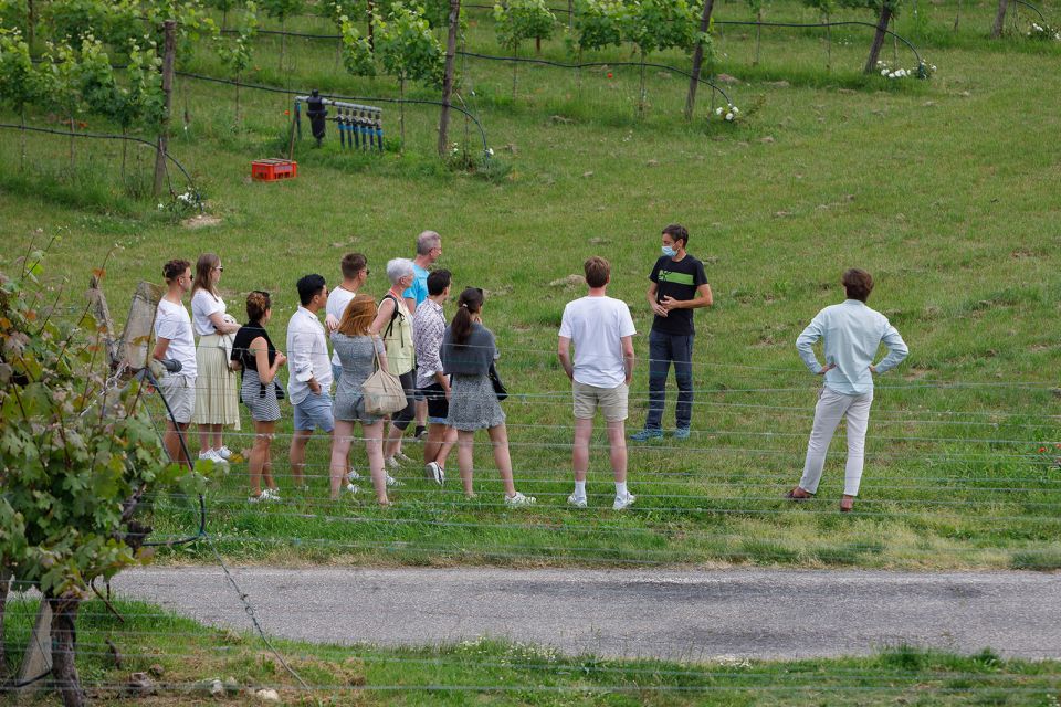 Lazise: Winery Tour with Garda Wines and Food Tasting - Final Thoughts: Should You Book This Lazise Winery Tour?