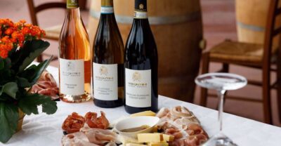 Lazise: Winery Tour with Garda Wines and Food Tasting - Vineyard Walk: How Garda Grapes Turn Into Wine