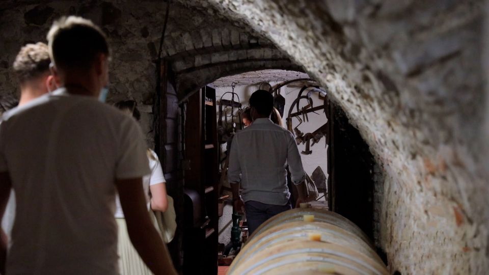 Lazise: Winery Tour with Garda Wines and Food Tasting - The Wine Tasting: Bardolino, Chiaretto, Custoza, and Friends