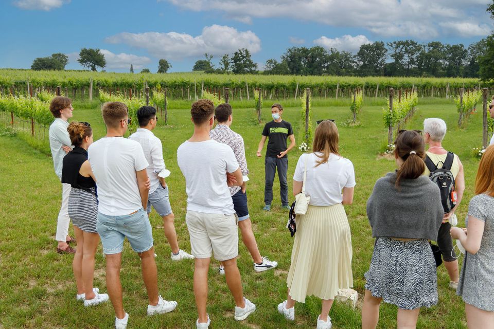 Lazise: Winery Tour with Garda Wines and Food Tasting - How Long It Takes and What That Means for Your Day