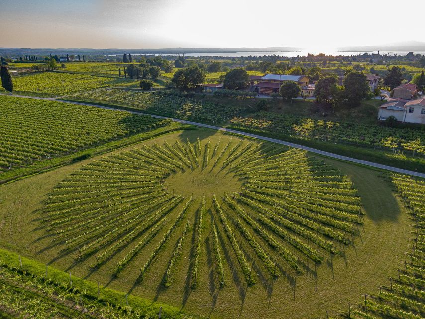 Lazise: Winery Tour with Garda Wines and Food Tasting - Who This Wine and Food Tour Suits Best