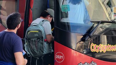 Livorno: 1 Day Hop-on Hop-off Bus Ticket Experience - How the 1-Day Ticket Works With Hourly Departures