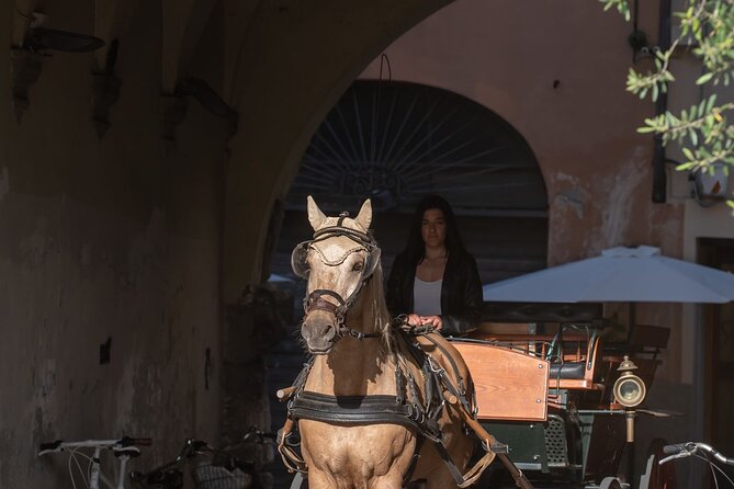Lucca Classic – Carriage Tour in the Old Town - Carriage-speed sightseeing in Lucca’s old-town streets