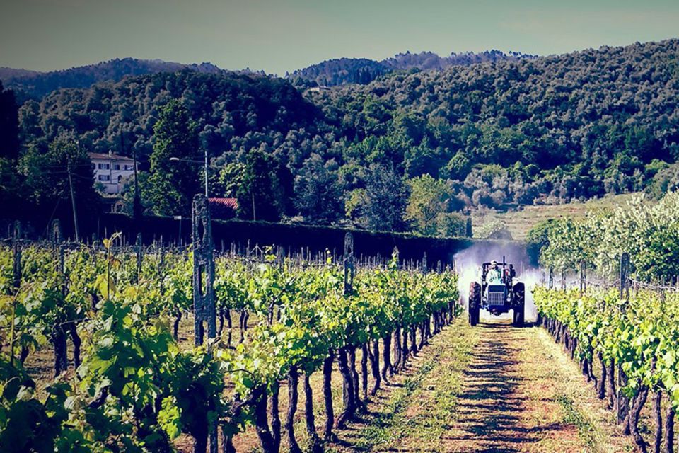 Lucca: Guided E-Bike and Wine Tour - Getting Started at Tourist Center Lucca Bike Rental (Piazzale Ricasoli 203)