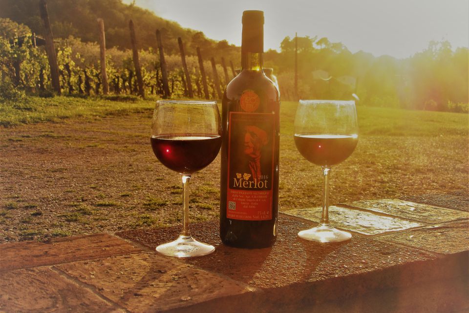 Lucca: Guided E-Bike and Wine Tour - Leaving the Walls: Province of Lucca Villages, Farms, and Short Climbs