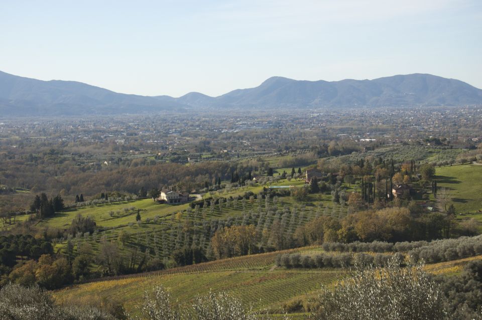 Lucca: Guided E-Bike and Wine Tour - Vineyard Ecosystem Lessons: What You’ll Learn While You Ride