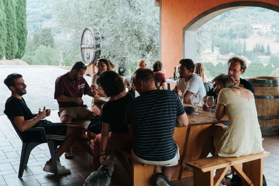 Lucca: Guided Winery Tour with Wine Tasting - Quick hits before you go