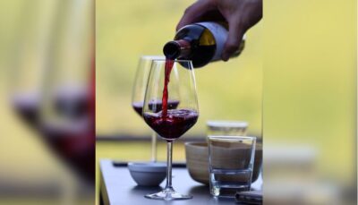 Lucca: Guided Winery Tour with Wine Tasting - Cellar Tour: Seeing How the Wine Gets Made