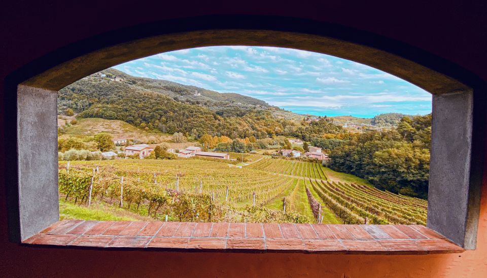 Lucca: Guided Winery Tour with Wine Tasting - Staff and Group Energy on the Patio