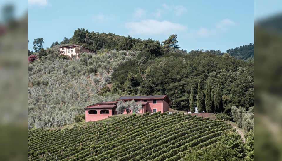 Lucca: Guided Winery Tour with Wine Tasting - Getting There from Lucca: Bus, Car, or a Transfer