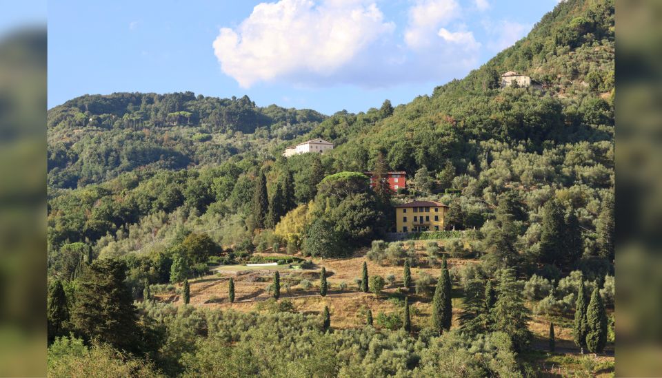Lucca: Guided Winery Tour with Wine Tasting - Timing: How the 1.5 Hours Fits Real Lucca Days