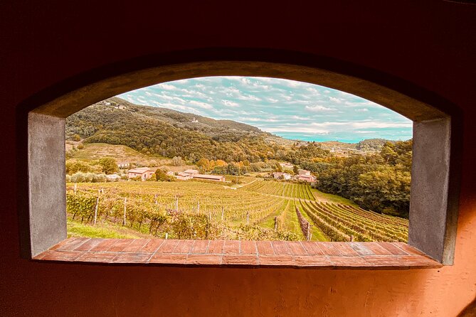 Lucca: Wine Tasting Experience - Tenuta Adamo Winery - Key things I’d focus on before you go