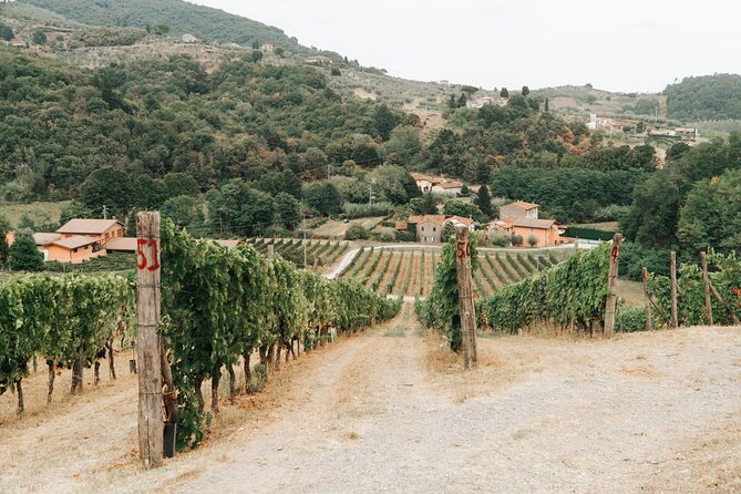 Lucca: Wine Tasting Experience - Tenuta Adamo Winery - Hill-Country Winery Basics: What You’re Really Buying in Lucca