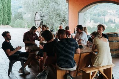 Lucca: Wine Tasting Experience - Tenuta Adamo Winery - The 90-Minute Rhythm: Cellar Walk First, Terrace Tasting Second