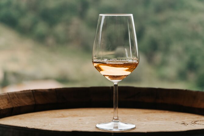 Lucca: Wine Tasting Experience - Tenuta Adamo Winery - On the Terrace: 4 Wines, Olive Oil, and Focaccia Pairing Time