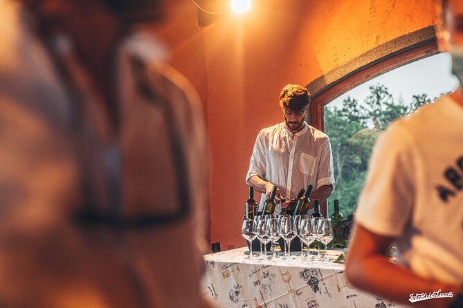 Lucca: Wine Tasting Experience - Tenuta Adamo Winery - Price and Value: Why €24-ish Can Still Feel Like a Good Deal