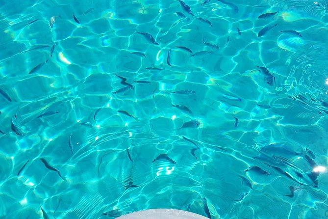 Luxury catamaran from Porto Rafael-Palau to the Maddalena Archipelago - Porto della Madonna: the lagoon that feels like a natural swimming pool