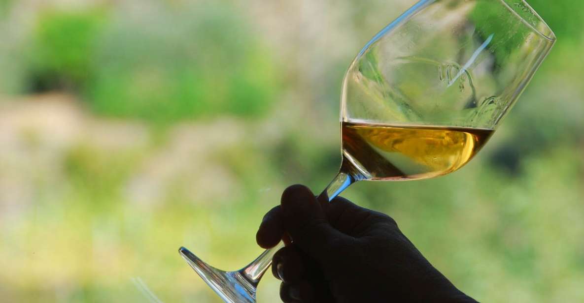 Manarola: Cinque Terre Wine Tasting - Manarola wine tasting in a restored cellar: the setting that makes it easier