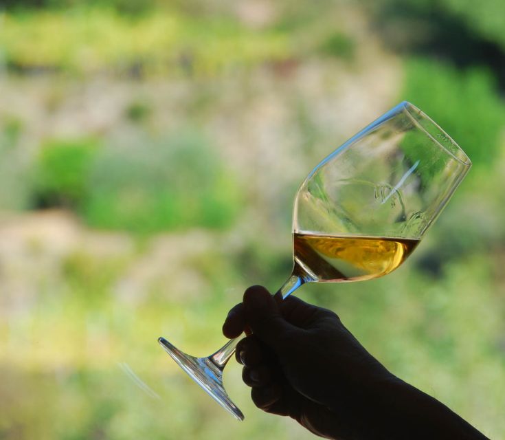 Manarola: Cinque Terre Wine Tasting - The 1-hour flow: white DOC, red IGT, and Sciacchetrà sweet wine