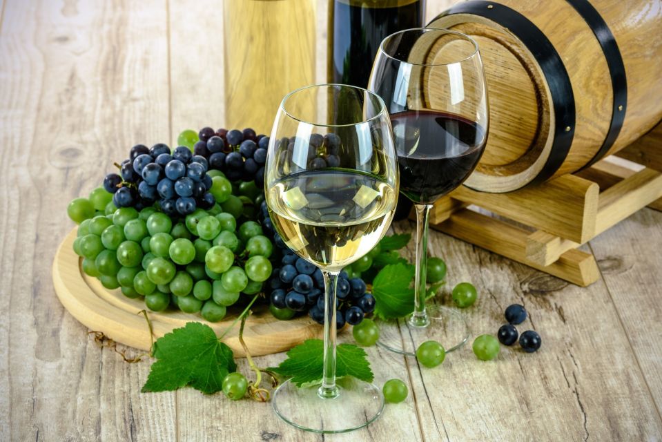 Milan: Wine Tasting Experience in the City Centre - Food pairing that actually changes what you taste