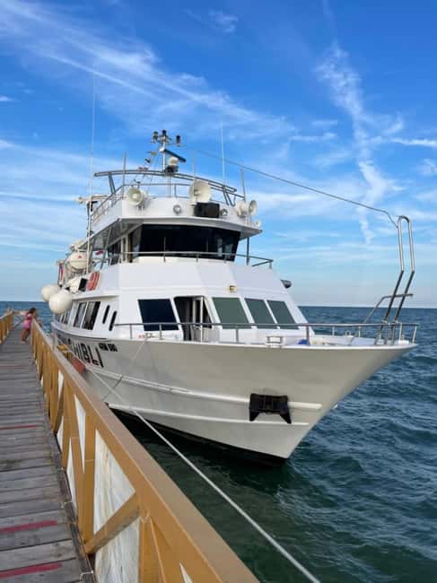 Milano Marittima: Riviera Romagnola Half-Day Boat Tour - Key things to know before you go
