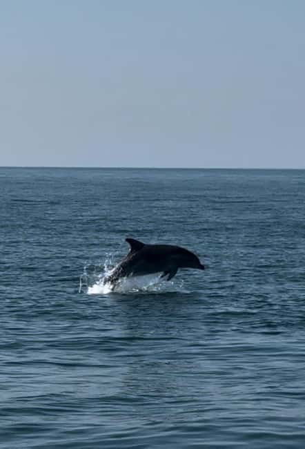 Milano Marittima: Riviera Romagnola Half-Day Boat Tour - The methane platforms pass: the Adriatic at work