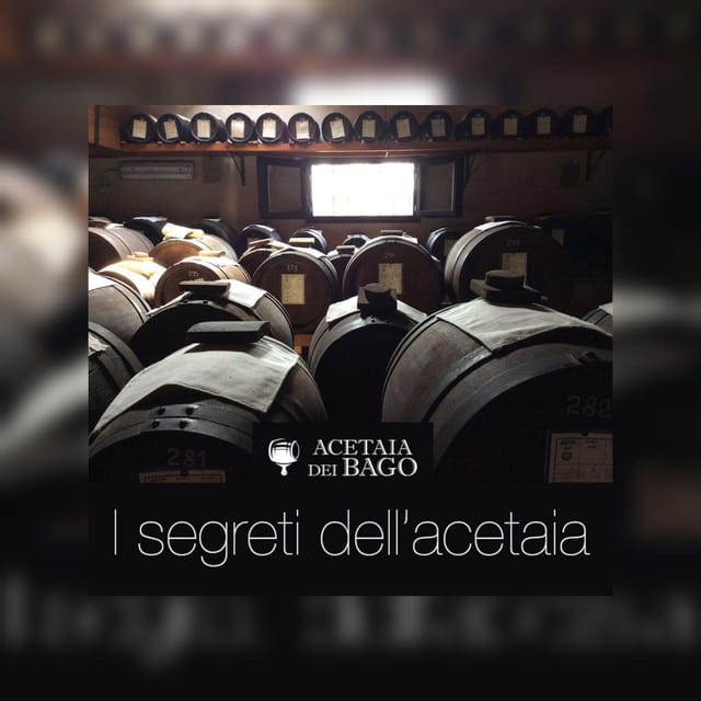 Modena: tour & taste of Bio,Traditional Balsamic Vinegar PDO - Key highlights you’ll feel the moment you arrive