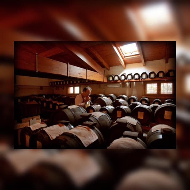 Modena: tour & taste of Bio,Traditional Balsamic Vinegar PDO - The walk-and-barrels flow: what happens in 1 to 2 hours